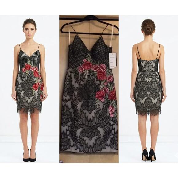 BASIX BLACK LABEL Dresses & Skirts - BASIX BLACK LABEL Floral Embroidered Sheer